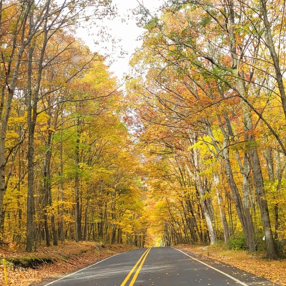 Meet your Posher, Debra - Picture 10 of 16